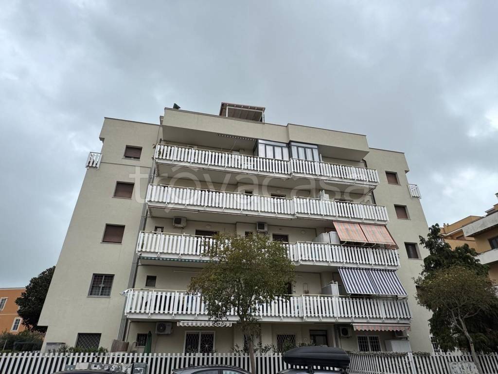 appartamento in vendita a Nettuno