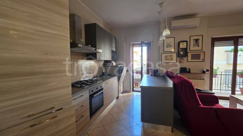 appartamento in vendita a Nettuno