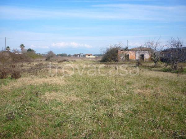 casa indipendente in vendita a Nettuno