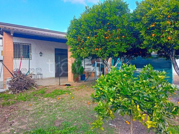 casa indipendente in vendita a Nettuno