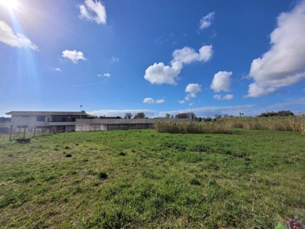 terreno agricolo in vendita a Nettuno