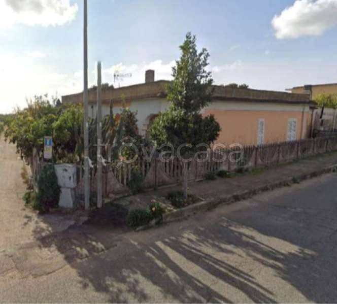 appartamento in vendita a Nettuno