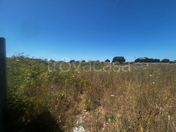 terreno agricolo in vendita a Nettuno in zona Padiglione