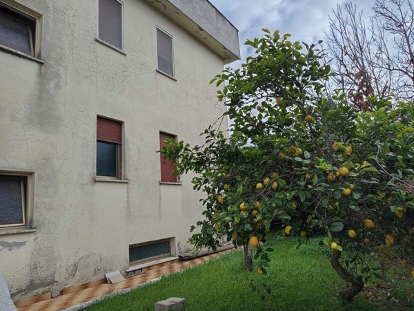 appartamento in vendita a Nettuno