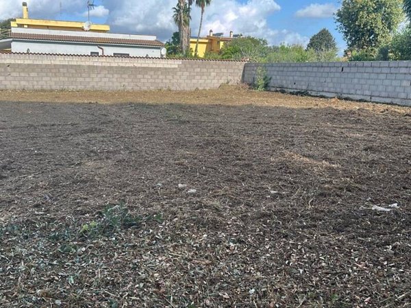 appartamento in vendita a Nettuno