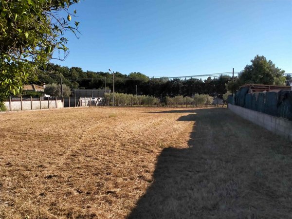 terreno agricolo in vendita a Nettuno