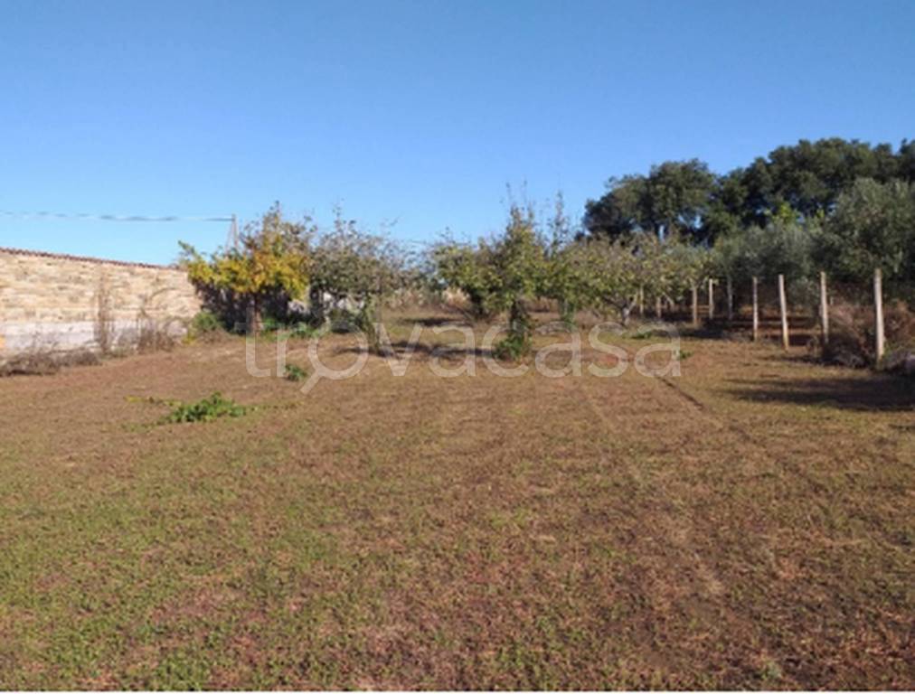 terreno agricolo in vendita a Nettuno