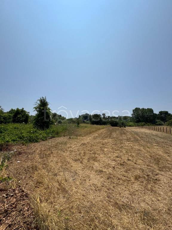 terreno agricolo in vendita a Nettuno