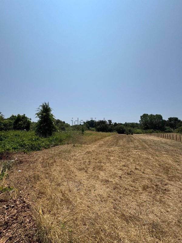 terreno agricolo in vendita a Nettuno