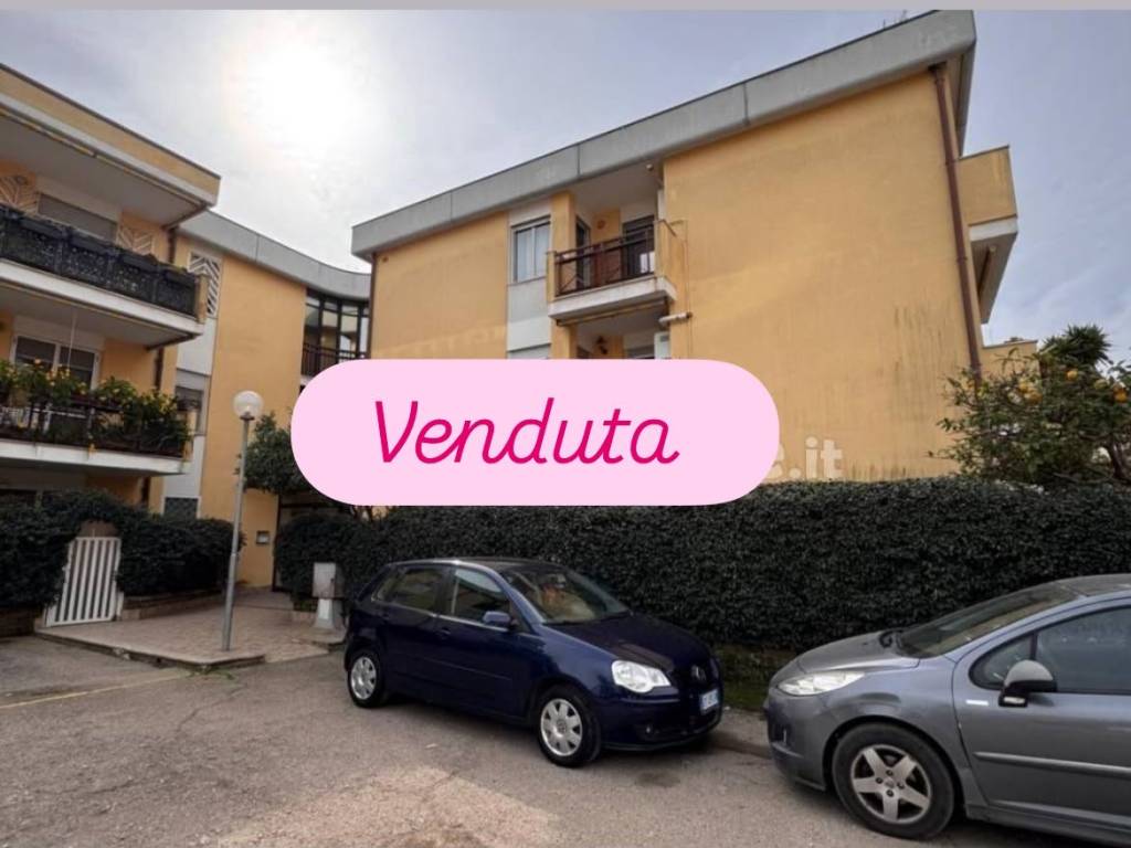 appartamento in vendita a Nettuno