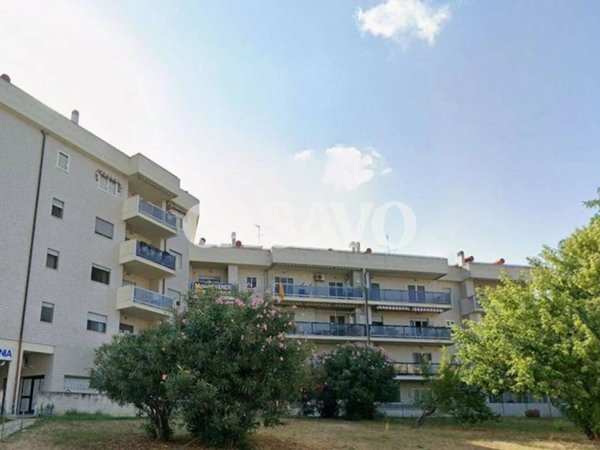 appartamento in vendita a Nettuno