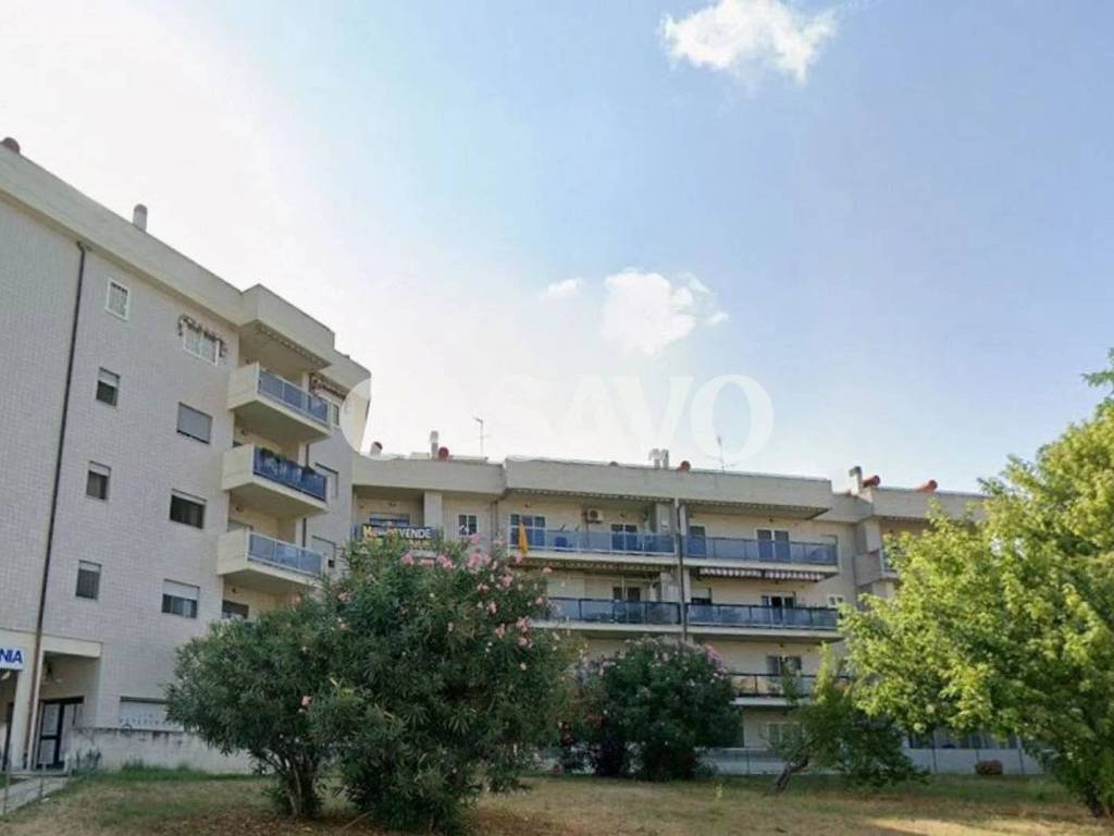 appartamento in vendita a Nettuno