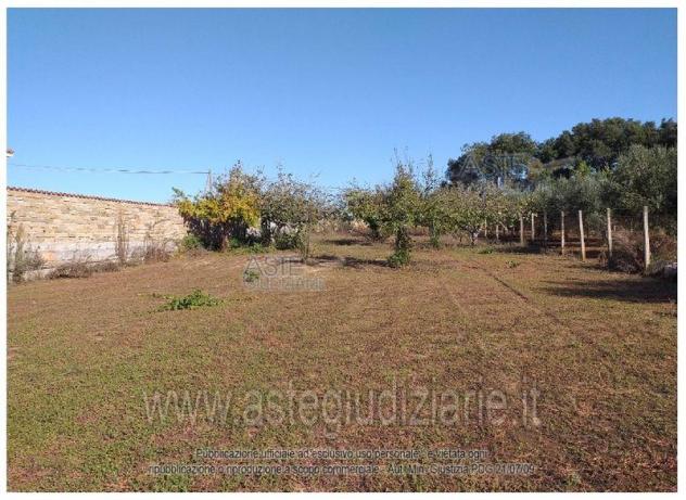 terreno agricolo in vendita a Nettuno