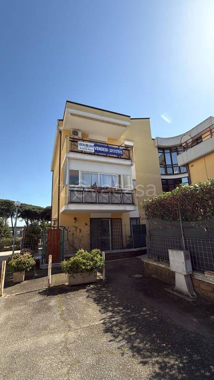 appartamento in vendita a Nettuno