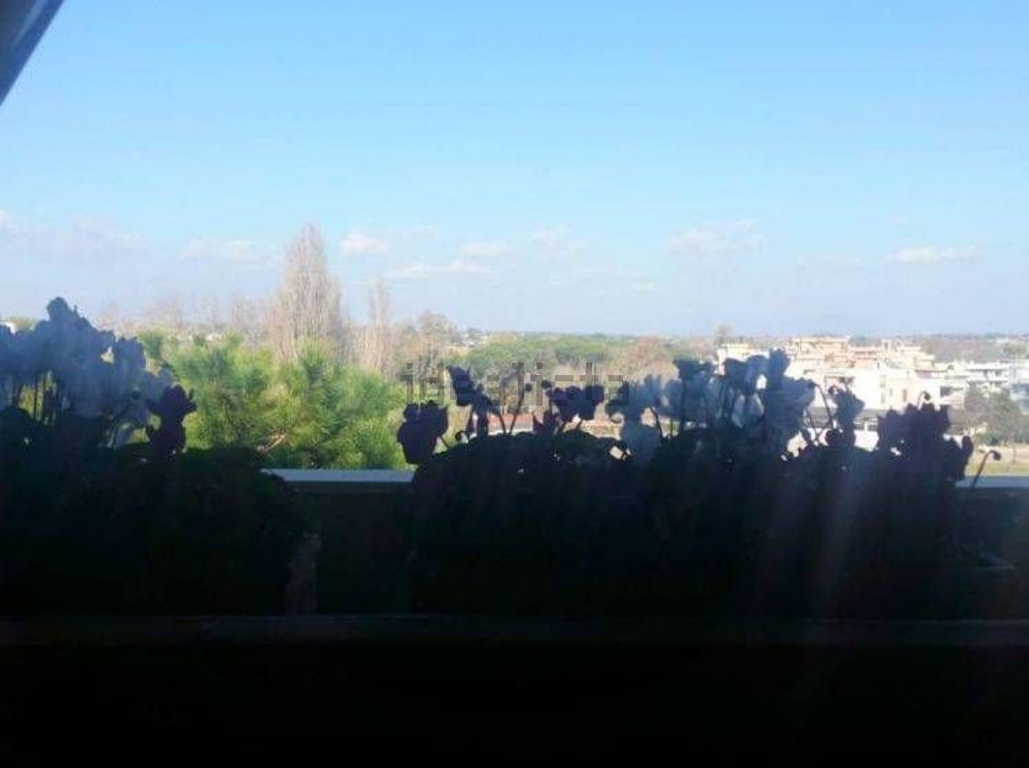 appartamento in vendita a Nettuno