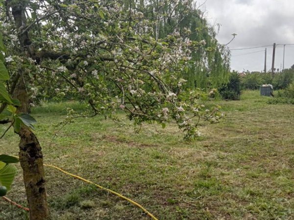 terreno agricolo in vendita a Nettuno