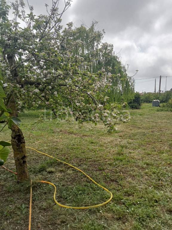 terreno agricolo in vendita a Nettuno