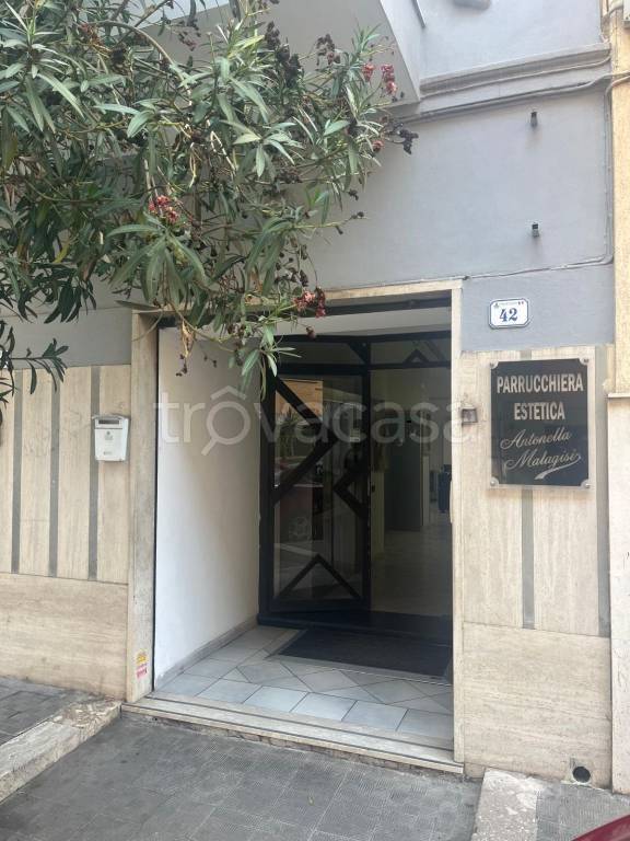 negozio in vendita a Nettuno