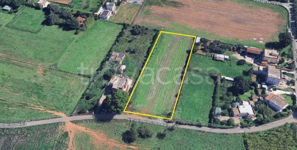 terreno agricolo in vendita a Nettuno in zona Padiglione
