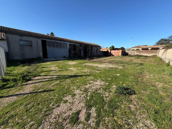 locale commerciale in vendita a Nettuno