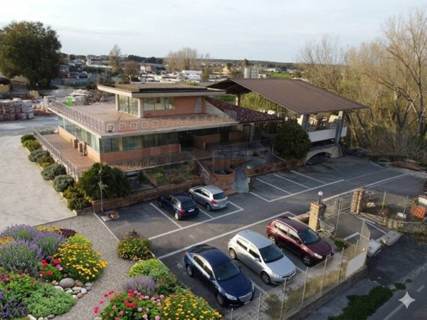 negozio in vendita a Nettuno