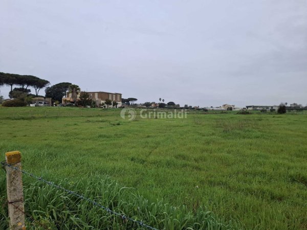 terreno agricolo in vendita a Nettuno