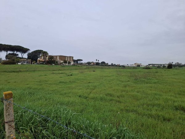 terreno in vendita a Nettuno