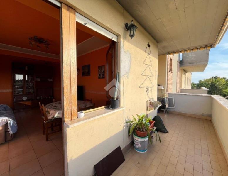 appartamento in vendita a Nettuno