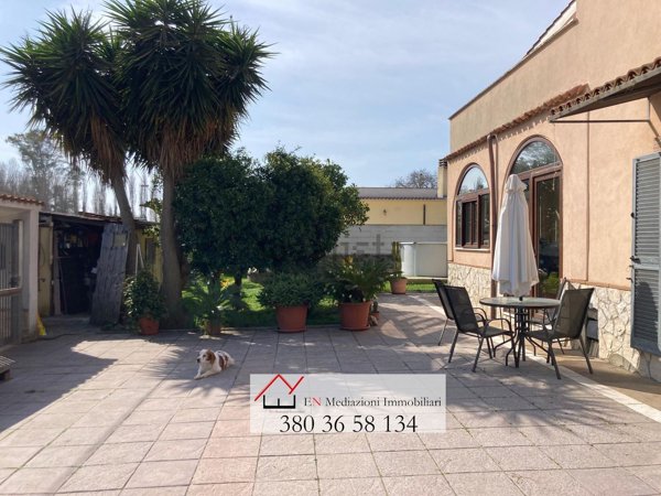 esavano in vendita a Nettuno