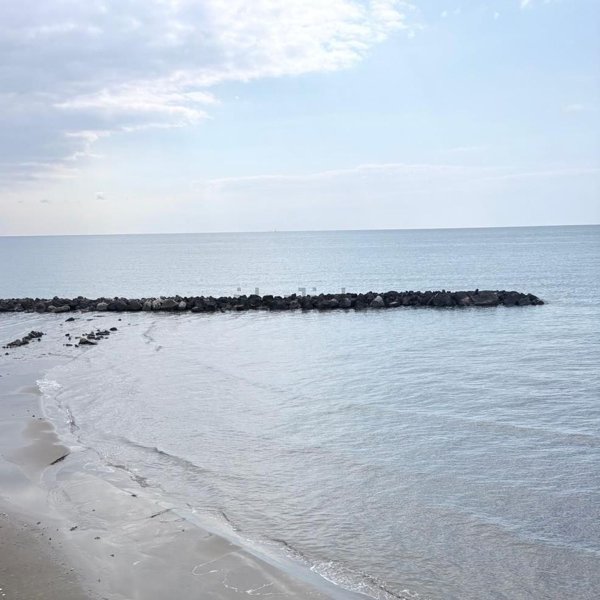 appartamento in vendita a Nettuno