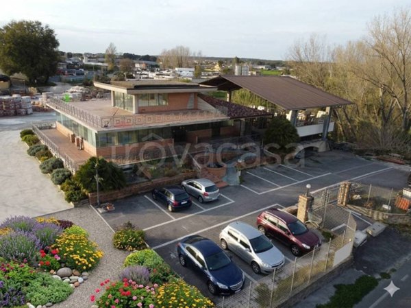 negozio in vendita a Nettuno