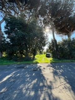 terreno edificabile in vendita a Nettuno