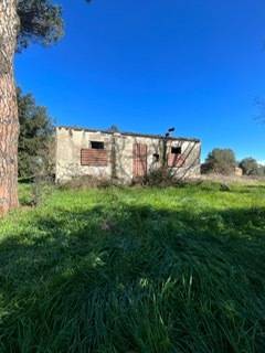 terreno edificabile in vendita a Nettuno