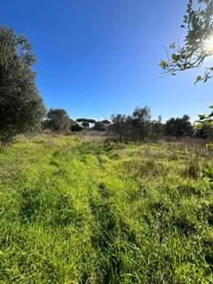 terreno edificabile in vendita a Nettuno