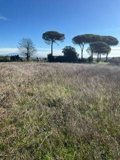 terreno edificabile in vendita a Nettuno