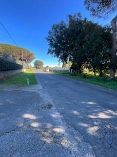 terreno edificabile in vendita a Nettuno