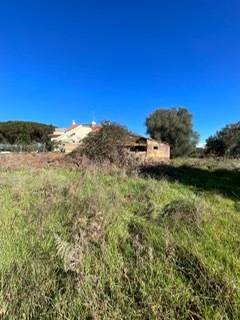 terreno edificabile in vendita a Nettuno