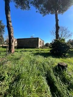 terreno edificabile in vendita a Nettuno