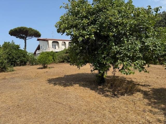 appartamento in vendita a Nettuno