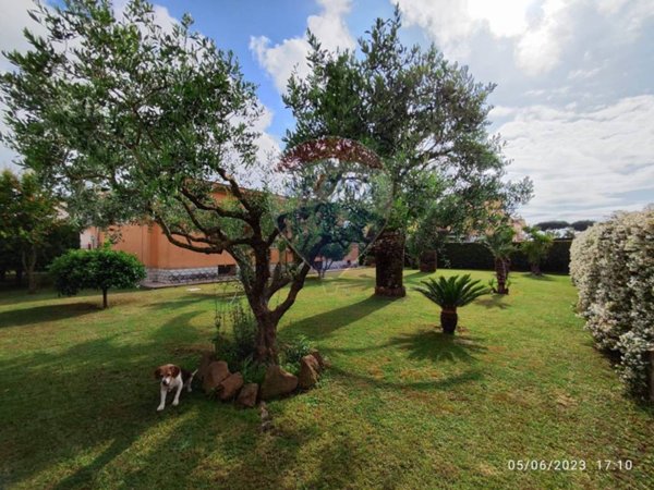 casa indipendente in vendita a Nettuno