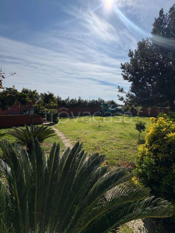 casa indipendente in vendita a Nettuno