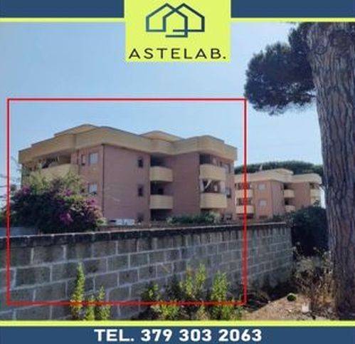 appartamento in vendita a Nettuno in zona Padiglione