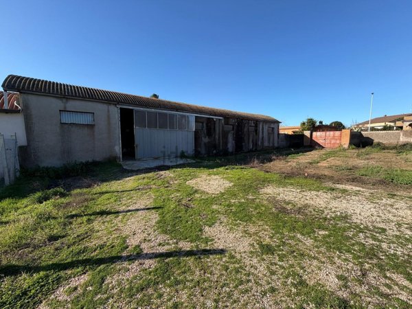 ufficio in vendita a Nettuno