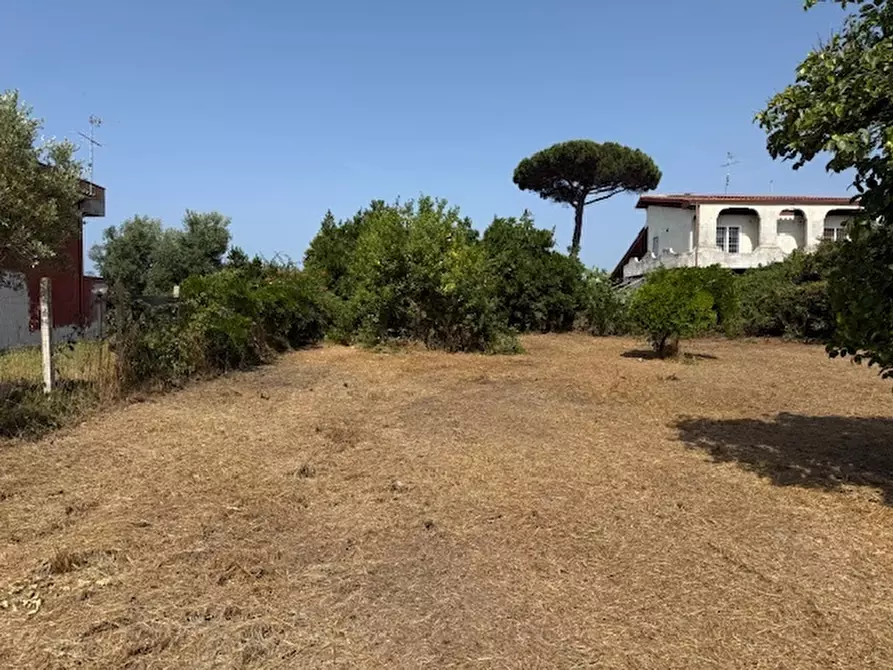 casa indipendente in vendita a Nettuno