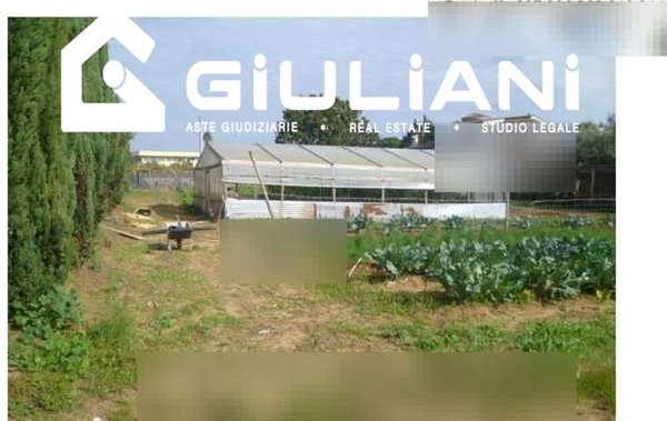 terreno agricolo in vendita a Nettuno