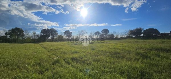 terreno agricolo in vendita a Nettuno
