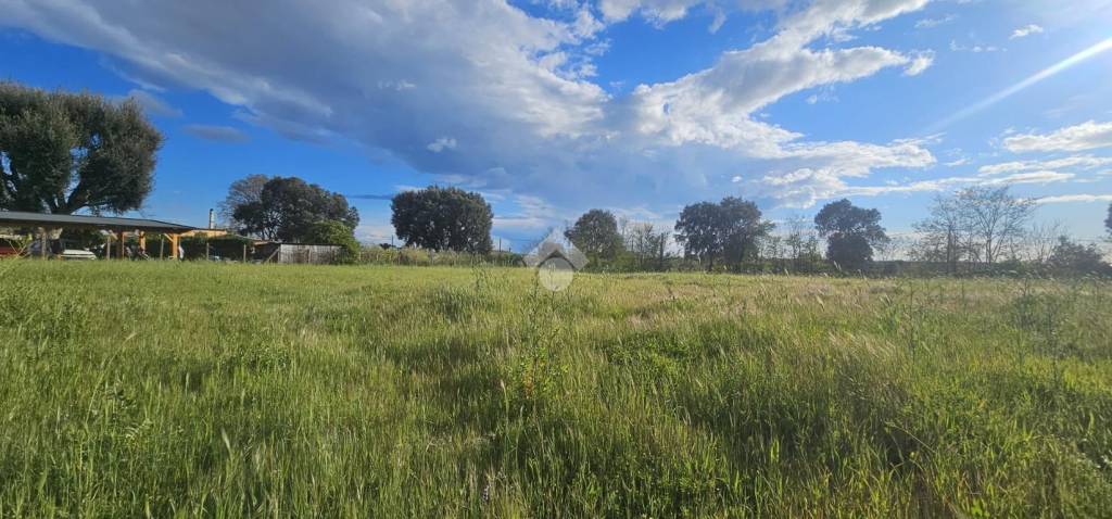terreno agricolo in vendita a Nettuno
