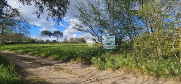 terreno agricolo in vendita a Nettuno