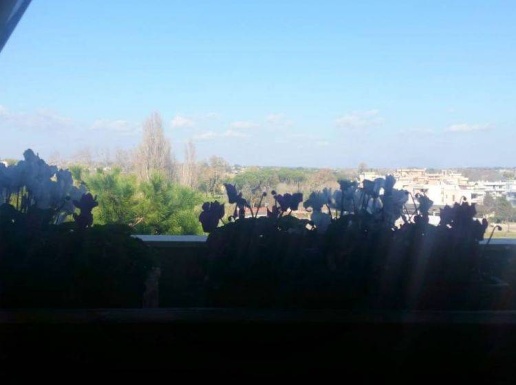 appartamento in vendita a Nettuno