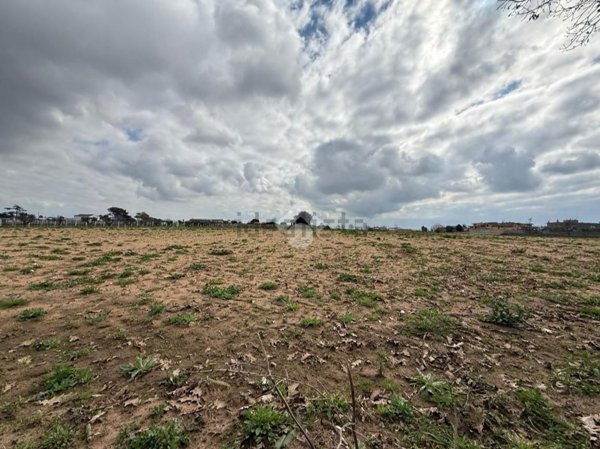 terreno edificabile in vendita a Nettuno